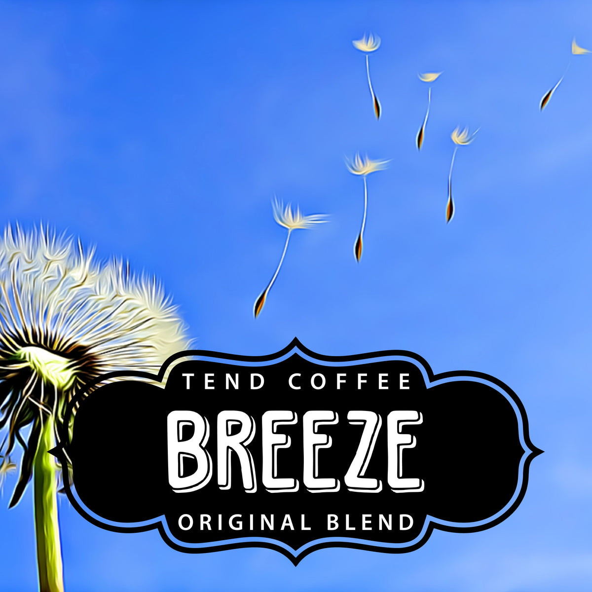 Luxebirdieクールクールタンク Organic Breeze Blend – Tend Coffee