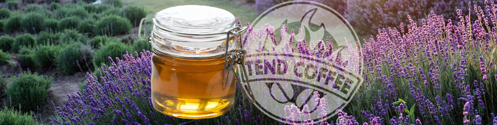 The Perfect Spring Time Latte; Lavender & Wild Flower Honey