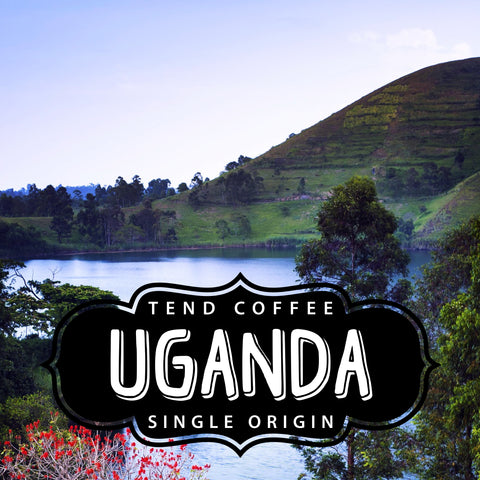 Uganda, 1lb