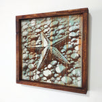 Starfish Reclaimed