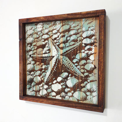 Starfish Reclaimed