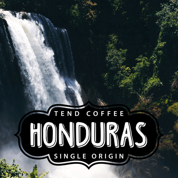 Organic Honduras Coffee – Tend Coffee